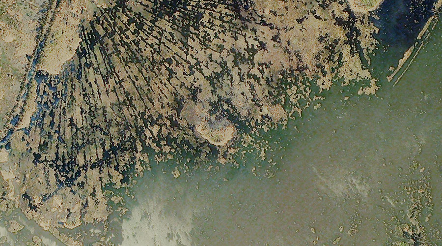 hurricane satellite images