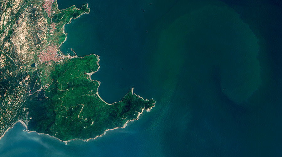 north pacific satellite image