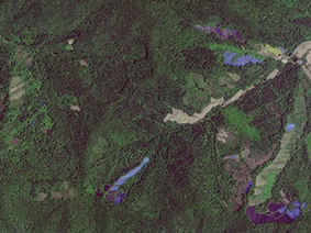 Satellite Remote Sensing Technology: Highly Useful in the Construction of Smart Cities