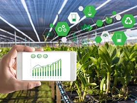 Agriculture Satellite Technology: A View of Farmland from the Air