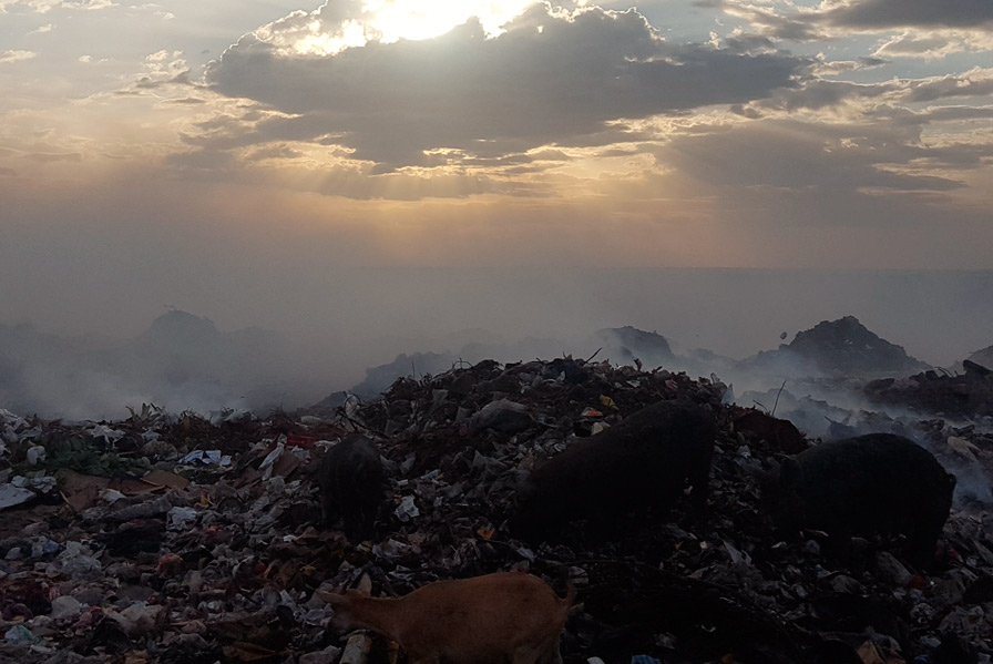 Environment Protection