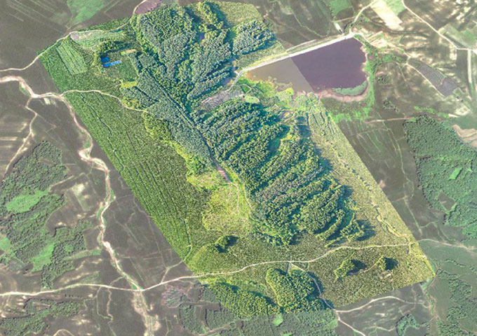 remote sensing in forestry