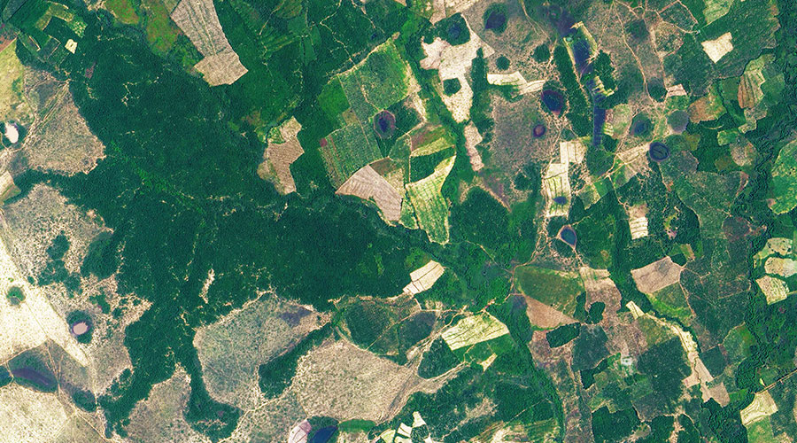 satellite farmland cover map