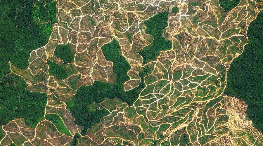 satellite farmland image live