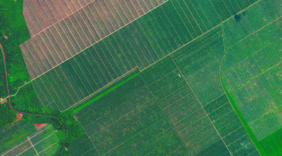 satellite farmland image